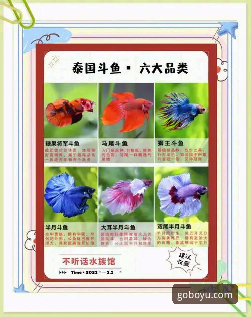 博鱼综合平台使用指南：从新手到高手的完整攻略